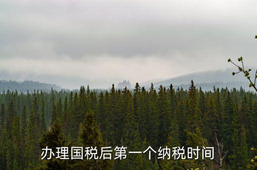 報稅后什么時候交稅，辦理國稅后第一個納稅時間