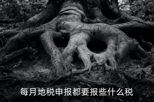 地稅申報(bào)報(bào)些什么稅神，每月地稅申報(bào)都要報(bào)些什么稅
