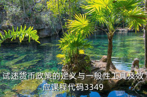 政策功能編碼是什么，試述貨幣政策的定義與一般性工具及效應課程代碼3349