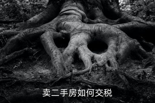 個稅手續(xù)費什么時候反還，我中獎了打了錢過去還說要交個人所得稅才能領(lǐng)獎是真的嗎