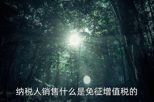 什么免征增值稅，哪些屬于免征增值稅