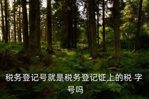 稅務(wù)登記證是什么字體，稅務(wù)登記證上的這是什么字體