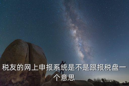 稅友的網上申報系統(tǒng)是不是跟報稅盤一個意思