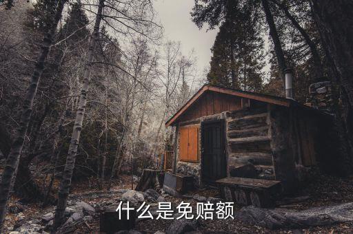 什么是免抵調(diào)庫，什么叫保險理賠免調(diào)查件