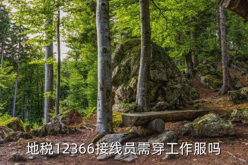 12366地稅主要負責什么，地稅是指什么