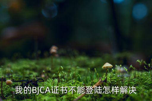 為什么ca證書不能登錄，我的BJCA證書不能登陸怎樣解決