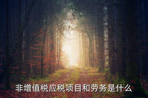 什么是非增值稅應勞務，什么是非增值稅應稅勞務希望懂的朋友能夠說得通俗易懂點或是舉