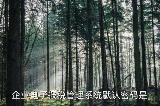 電子稅務(wù)局的初始密碼是什么，稅務(wù)局網(wǎng)站的登入賬戶初始密碼是什么