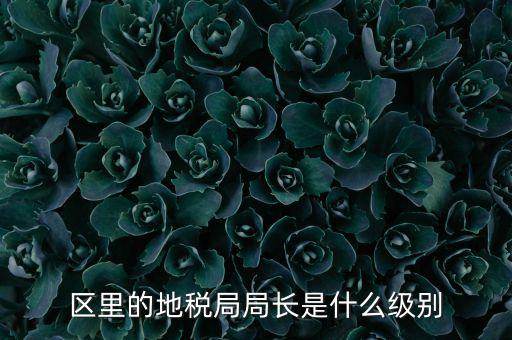 區(qū)里的地稅局局長是什么級(jí)別