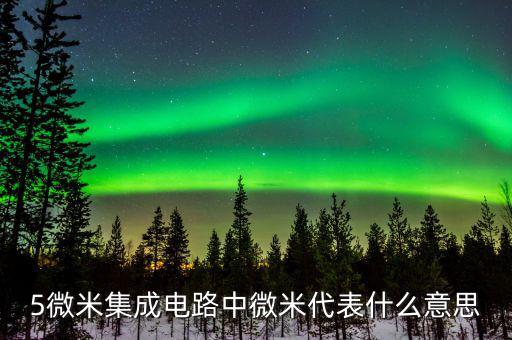 集成電路08微米是什么概念，CPU上說的納米和微米是什么意思呢詳細(xì)