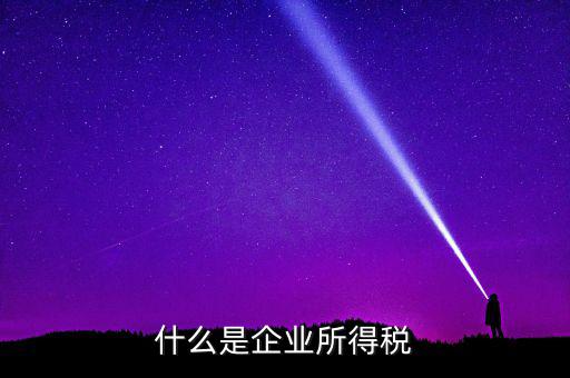 什么是公司所得稅，企業(yè)所得稅是什么意思