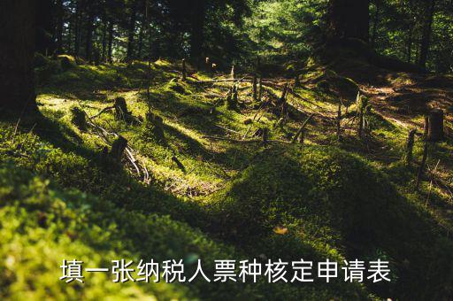 交票種核定表是什么，納稅人領(lǐng)購(gòu)發(fā)票票種核定申請(qǐng)表如何填寫(xiě)