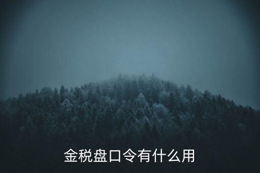 報(bào)稅數(shù)字證書口令是什么，陜西天暢偉業(yè)的網(wǎng)上報(bào)稅系統(tǒng)的登錄口令是什么