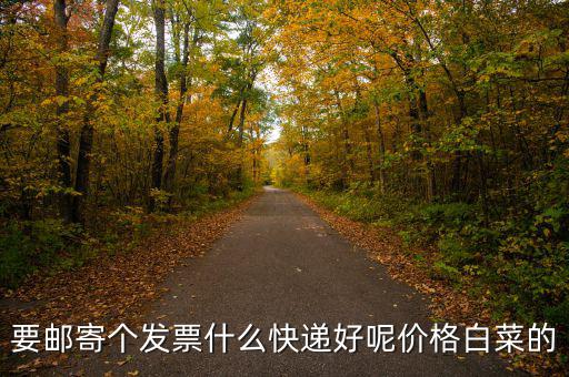 深圳國(guó)稅發(fā)票是寄什么快遞，寄發(fā)票用什么快遞