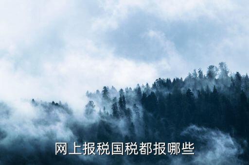 國稅申報什么，國稅局是報什么稅