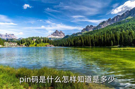 稅控盤(pán)pin碼是什么意思，pin碼是啥碼