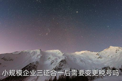 什么情況需要變更稅號，小規(guī)模企業(yè)三證合一后需要變更稅號嗎
