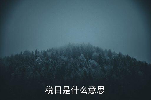 增值稅稅目是什么，增值稅是什么稅是什么