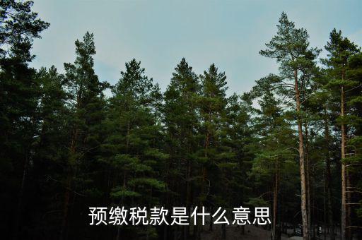 已預(yù)繳稅費(fèi)指什么，預(yù)繳稅款是什么意思