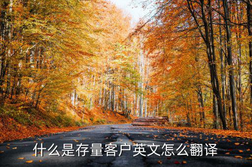 什么是存量客戶(hù)英文怎么翻譯
