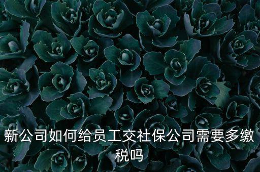 公司交社保要交什么稅，企業(yè)為員工交養(yǎng)老保險(xiǎn)要不要交稅的