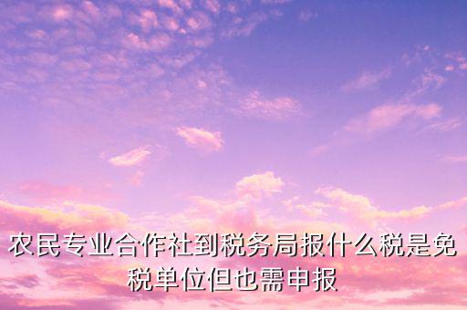 農(nóng)村合作社交什么稅，農(nóng)民合作社每個(gè)月要申報(bào)什么稅