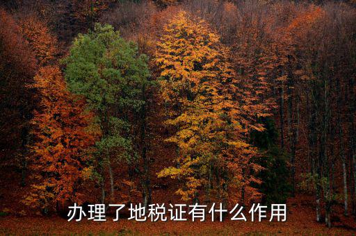 地稅局作用是什么，地稅局給我們帶來了哪些好處