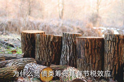 什么是節(jié)稅，為什么負債類籌資具有節(jié)稅效應