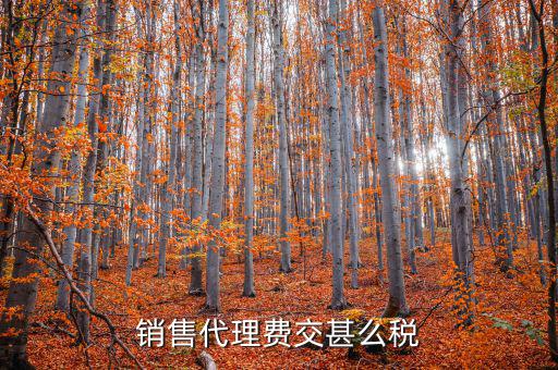代理費繳納什么稅，銷售代理費交甚么稅