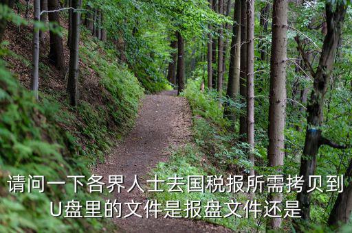 稅務(wù)報盤文件是什么，請問一下各界人士去國稅報所需拷貝到U盤里的文件是報盤文件還是
