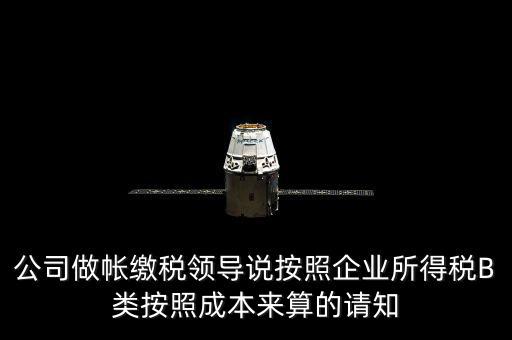 公司做帳繳稅領(lǐng)導(dǎo)說(shuō)按照企業(yè)所得稅B類(lèi)按照成本來(lái)算的請(qǐng)知