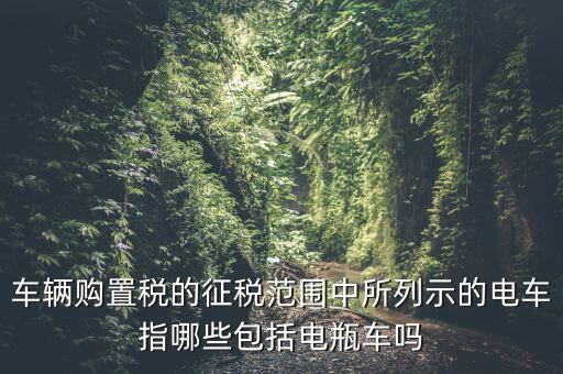 有軌電車征收什么稅，車輛購置稅的征稅范圍中所列示的電車指哪些包括電瓶車嗎
