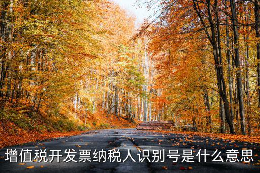 增值稅開發(fā)票納稅人識(shí)別號(hào)是什么意思