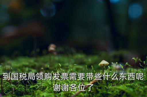 國稅局領(lǐng)票帶什么東西，去稅務(wù)局領(lǐng)發(fā)票需要帶什么資料去