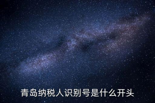 納稅人識別號什么開頭，納稅人識別號330100開頭的是哪個地方的
