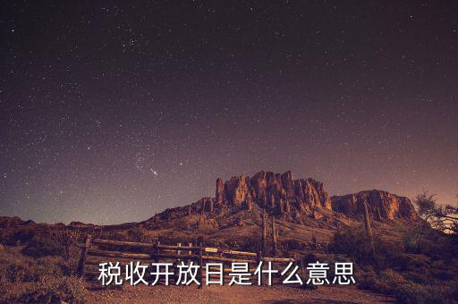 國稅開放日是什么意思，稅收開放日是什么意思
