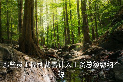 什么樣的福利費要交個稅，什么樣的福利費不需要交納個人所得稅呢