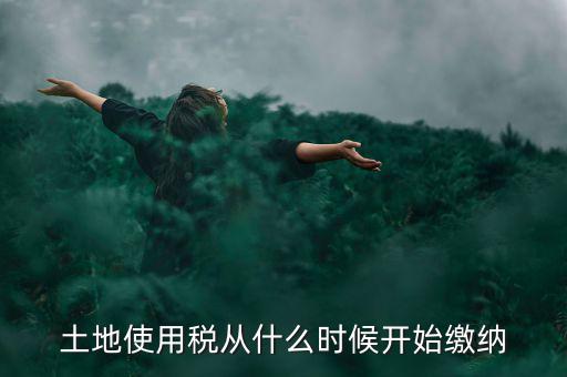 城鎮(zhèn)土地使用稅什么時候交，房地產(chǎn)開發(fā)企業(yè)繳納城鎮(zhèn)土地使用稅的時間是多久
