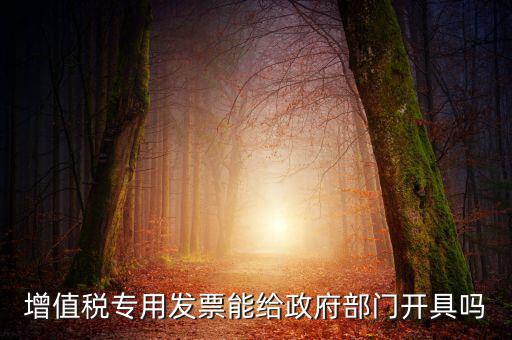 什么內(nèi)容的發(fā)票不可以給政府部門，增值稅專用發(fā)票能給政府部門開具嗎