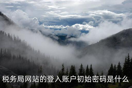 廣東國稅網(wǎng)登錄密碼是什么意思，稅務局網(wǎng)站的登入賬戶初始密碼是什么