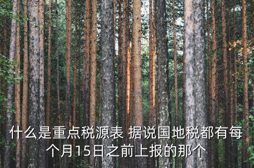 稅源監(jiān)控表是什么，股東股權(quán)變更稅源監(jiān)控登記表怎么填寫(xiě)