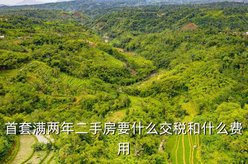 賣滿2年的房子交什么稅，商品房滿2年了出售的話需要交哪些稅詳細點