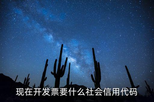 發(fā)票的社會(huì)信用代碼是什么意思，現(xiàn)在開(kāi)發(fā)票要的社會(huì)信用代碼是誰(shuí)的代碼