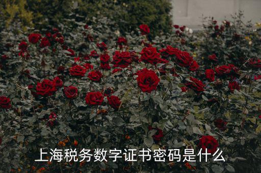 稅務(wù)數(shù)字證書密碼是什么，稅務(wù)密鑰是什么東西是數(shù)字證書嗎