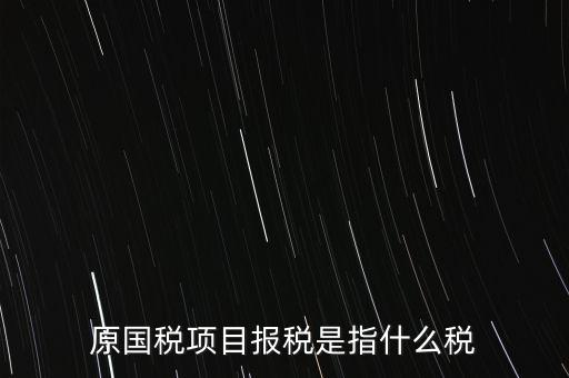 原國稅項(xiàng)目報(bào)稅是指什么稅