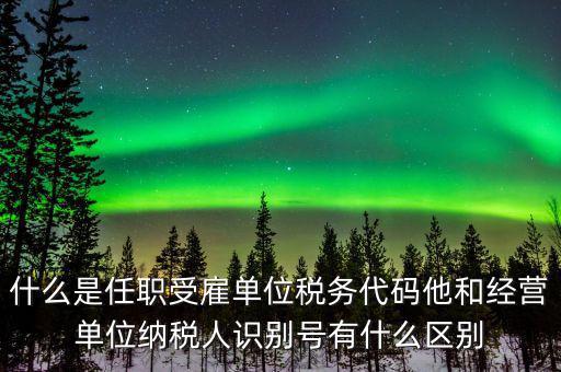 報(bào)稅自然人識(shí)別號(hào)是什么，個(gè)稅申報(bào)顯示存在相同唯一識(shí)別號(hào)是什么意思