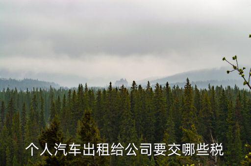 車輛租賃交什么稅，轎車租賃需繳納多少稅控