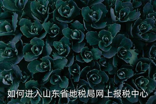山東地稅密碼是什么，我在山東地稅網上報稅密碼怎么查