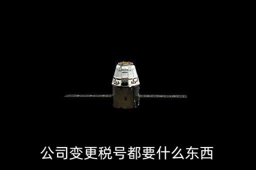 什么情況下變更稅號，公司變更稅號都要什么東西