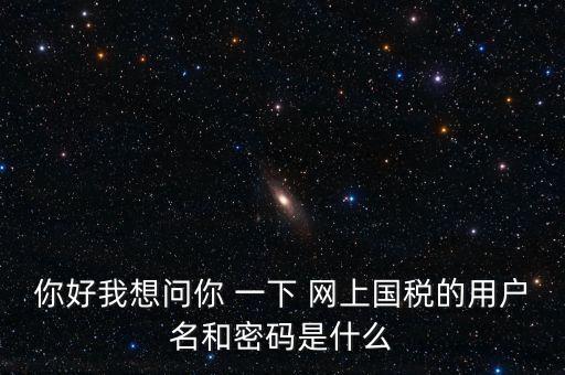 什么是電子稅務(wù)局密碼，你好我想問你 一下 網(wǎng)上國稅的用戶名和密碼是什么